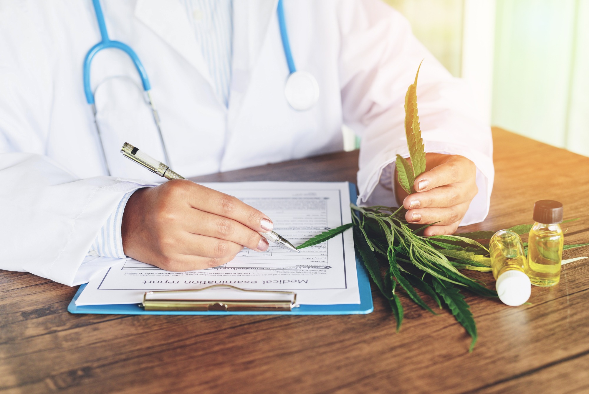Medical Marijuana with doctor woman holding and offer to patient medical marijuana leaf